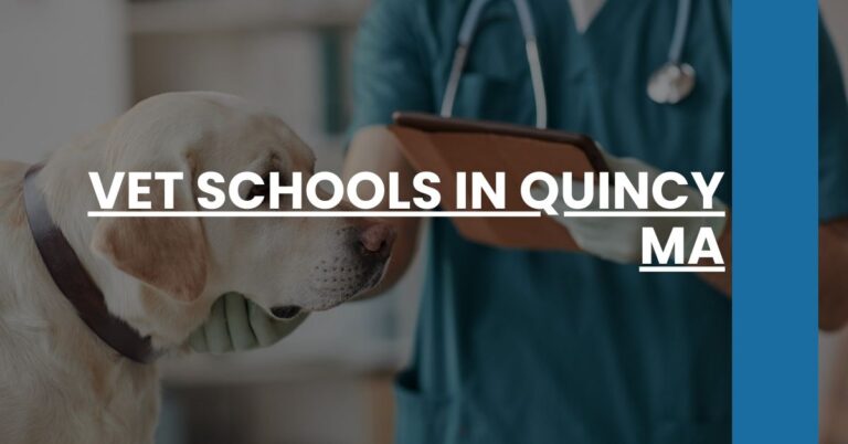 Vet Schools in Quincy MA Feature Image