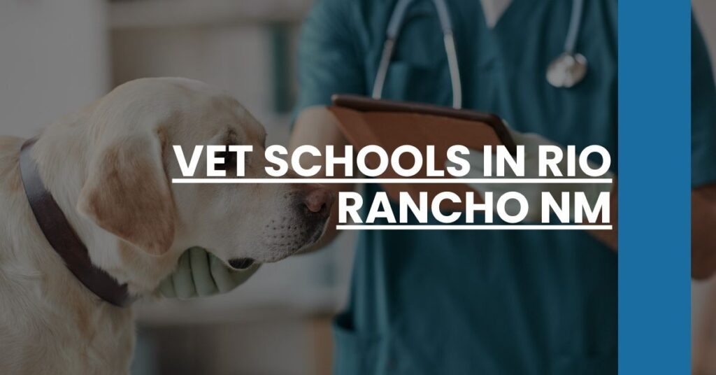 Vet Schools in Rio Rancho NM Feature Image