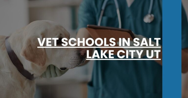 Vet Schools in Salt Lake City UT Feature Image