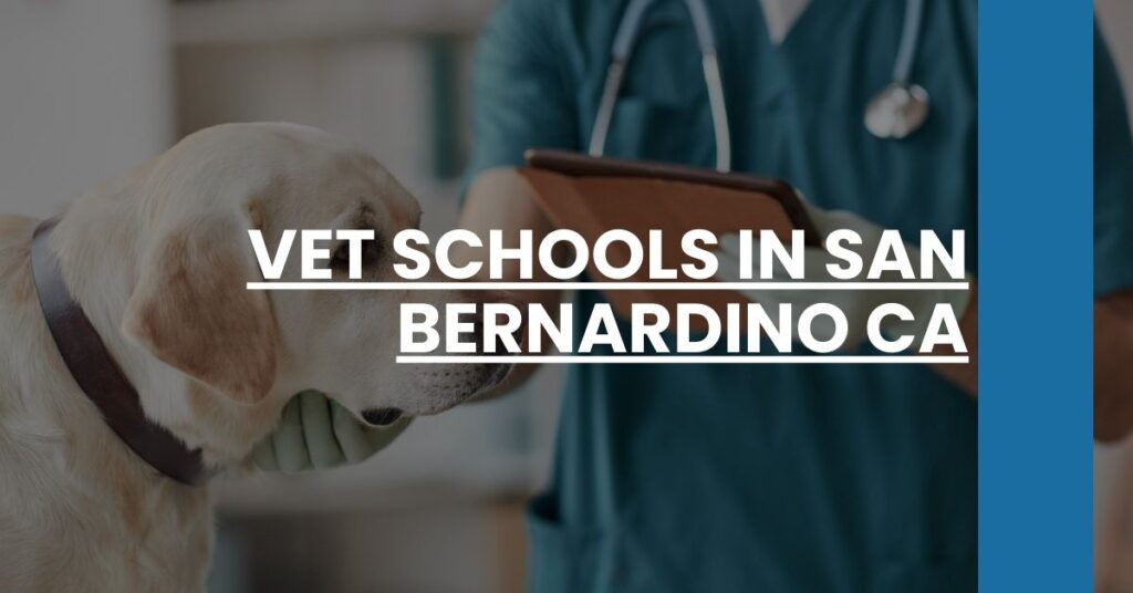 Vet Schools in San Bernardino CA Feature Image