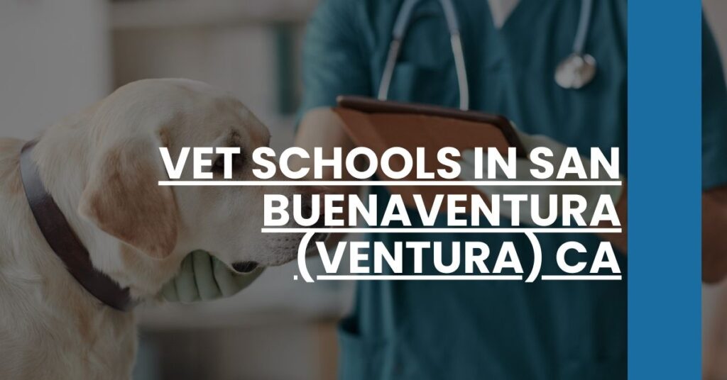 Vet Schools in San Buenaventura (Ventura) CA Feature Image