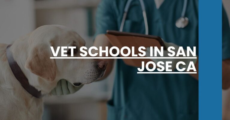 Vet Schools in San Jose CA Feature Image