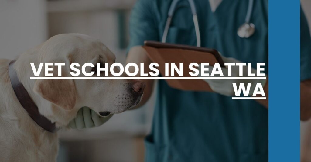 Vet Schools in Seattle WA Feature Image