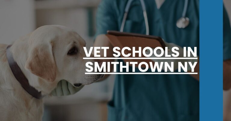 Vet Schools in Smithtown NY Feature Image