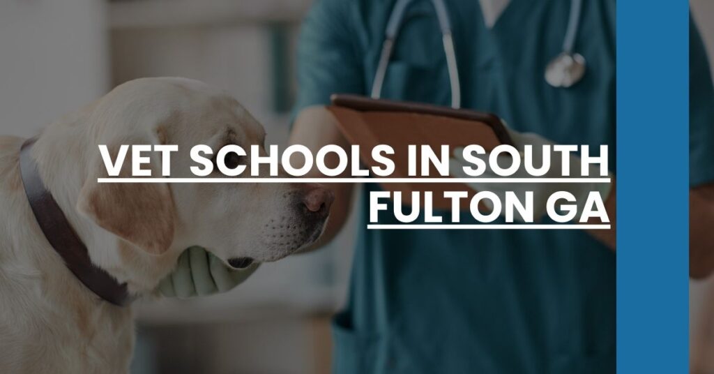 Vet Schools in South Fulton GA Feature Image