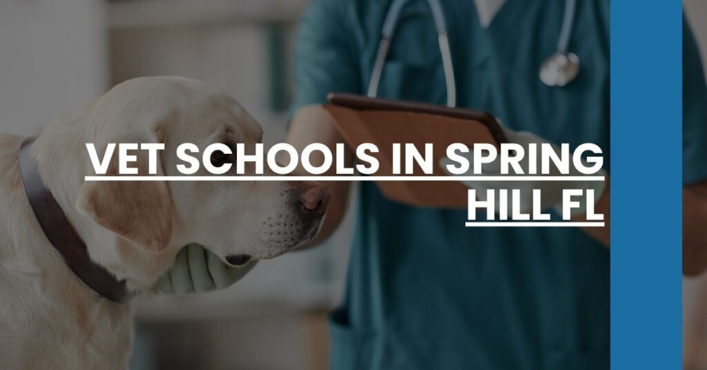 Vet Schools in Spring Hill FL Feature Image