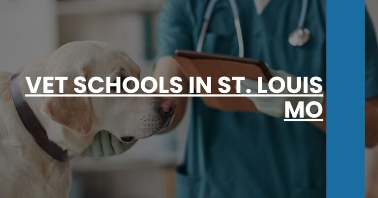 Vet Schools in St. Louis MO Feature Image