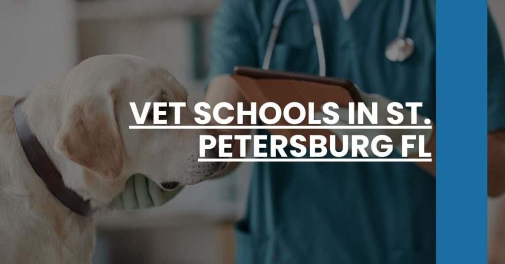 Vet Schools in St. Petersburg FL Feature Image