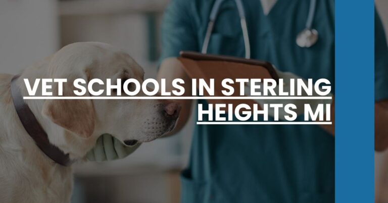 Vet Schools in Sterling Heights MI Feature Image