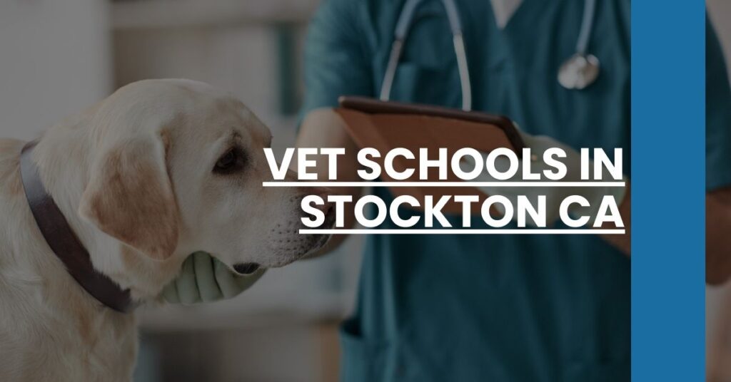 Vet Schools in Stockton CA Feature Image