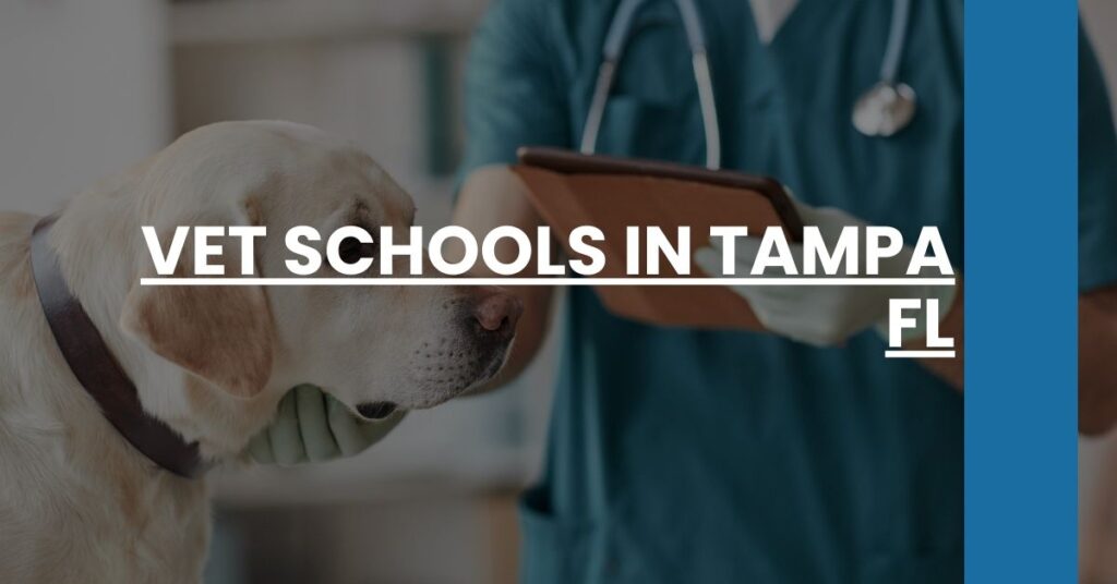 Vet Schools in Tampa FL Feature Image