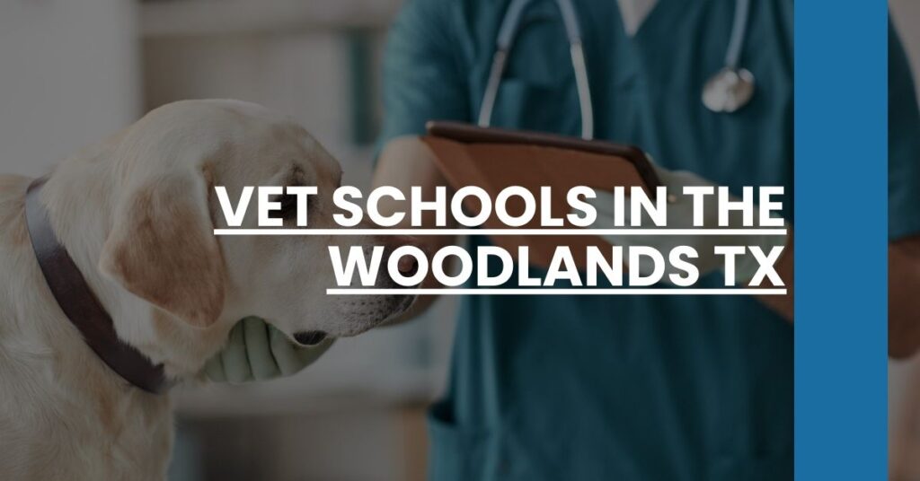 Vet Schools in The Woodlands TX Feature Image