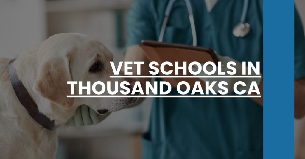 Vet Schools in Thousand Oaks CA Feature Image