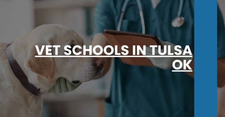 Vet Schools in Tulsa OK Feature Image