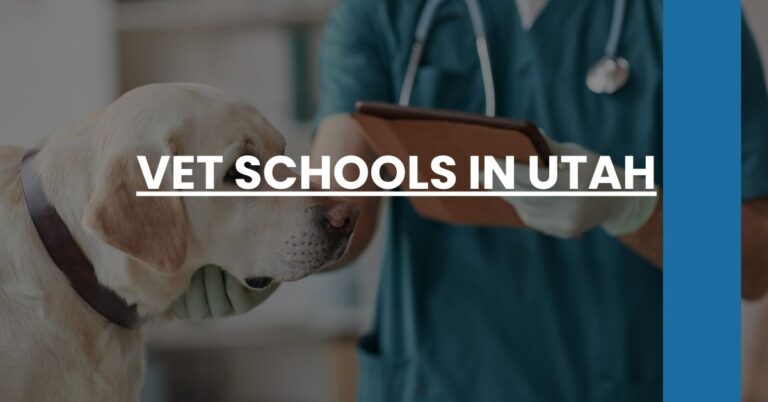 Vet Schools in Utah Feature Image