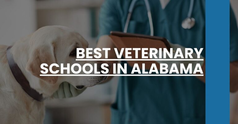 Best Veterinary Schools In Alabama Feature Image