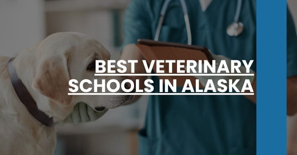 Best Veterinary Schools In Alaska Feature Image