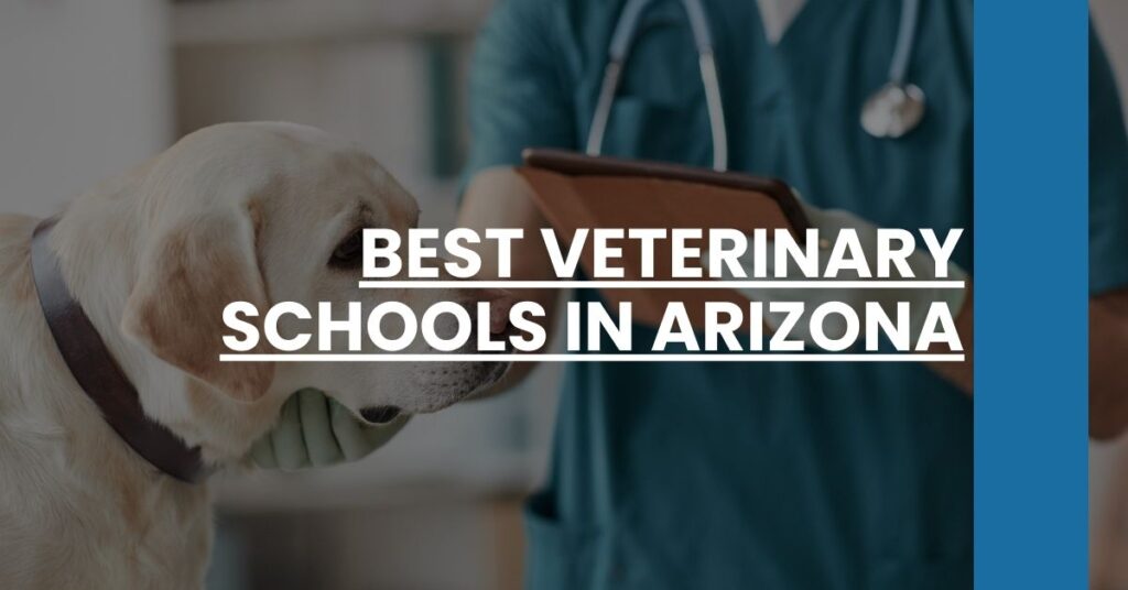 Best Veterinary Schools In Arizona Feature Image