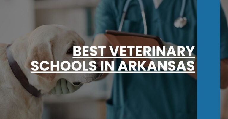 Best Veterinary Schools In Arkansas Feature Image