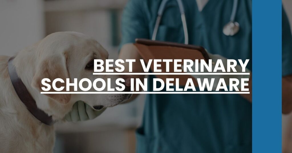 Best Veterinary Schools In Delaware Feature Image