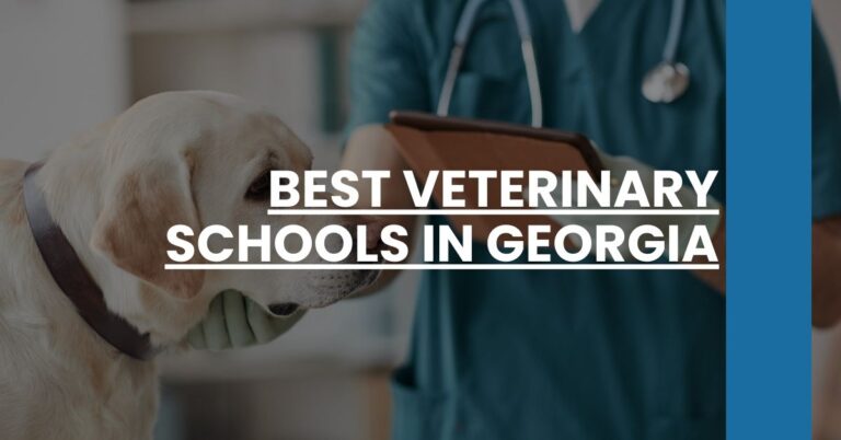 Best Veterinary Schools In Georgia Feature Image