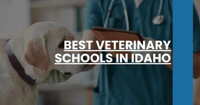 Best Veterinary Schools In Idaho Feature Image