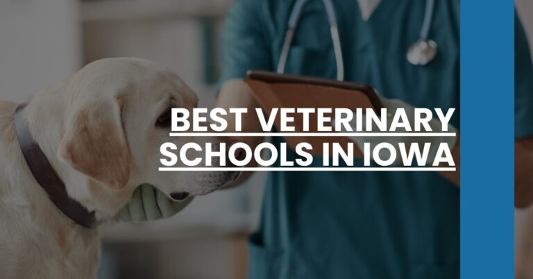 Best Veterinary Schools In Iowa Feature Image