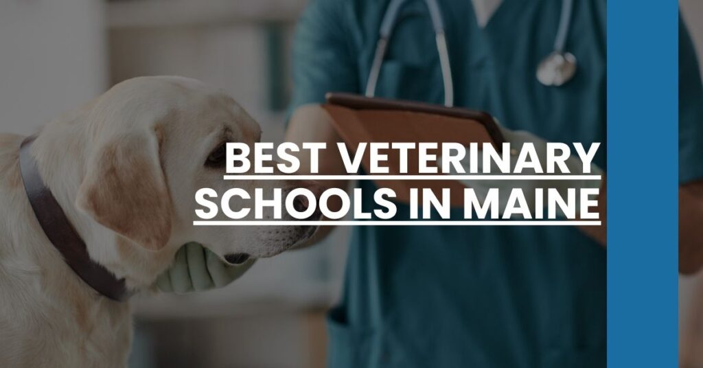 Best Veterinary Schools In Maine Feature Image