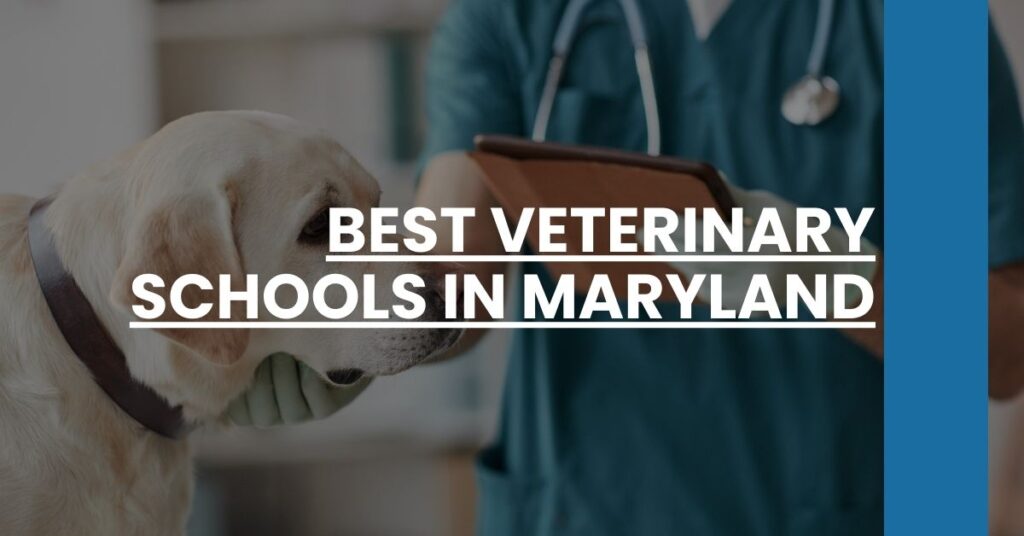 Best Veterinary Schools In Maryland Feature Image