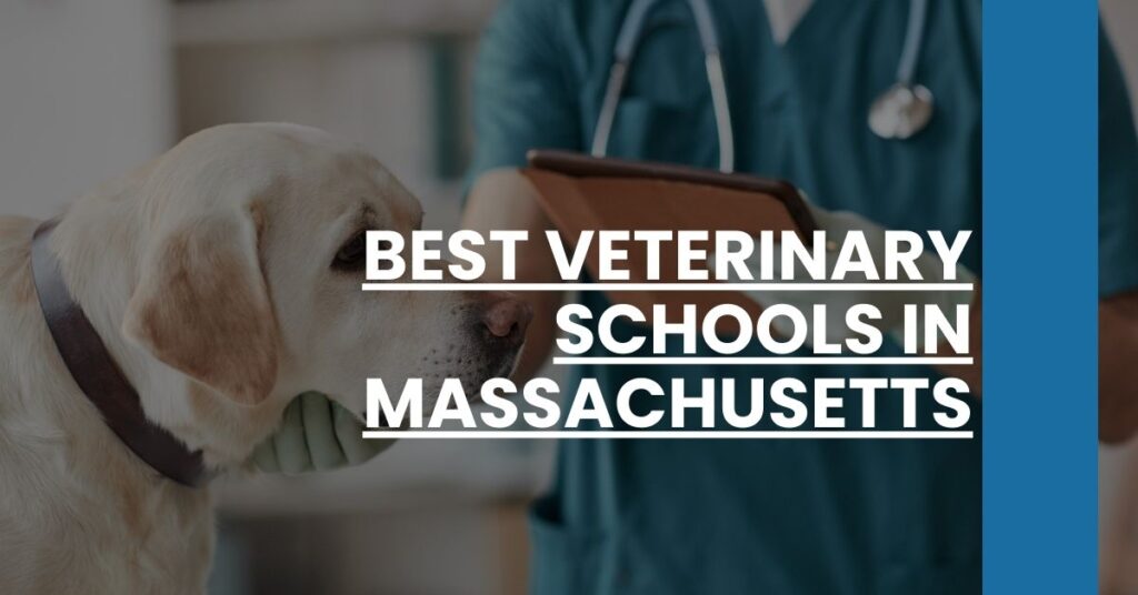 Best Veterinary Schools In Massachusetts Feature Image