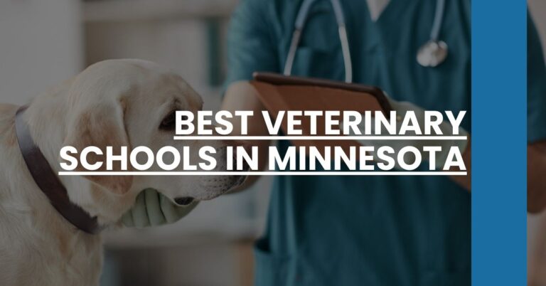 Best Veterinary Schools In Minnesota Feature Image