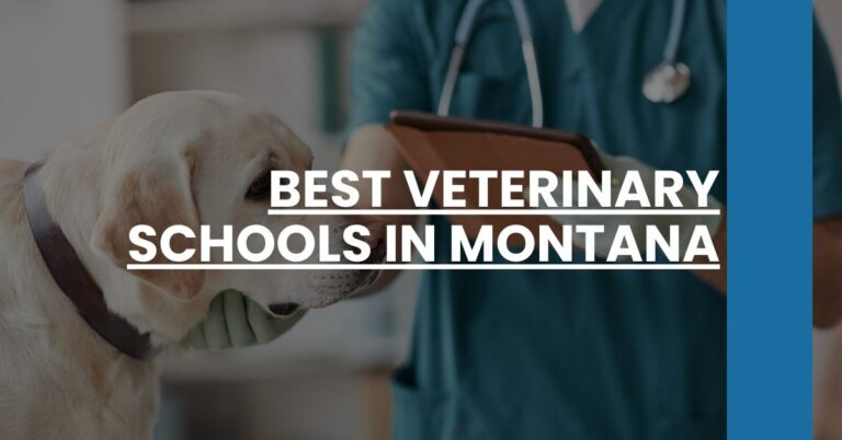 Best Veterinary Schools In Montana Feature Image