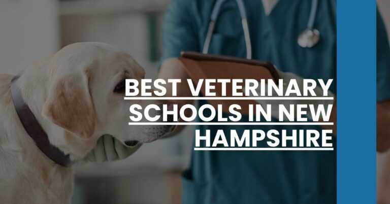 Best Veterinary Schools In New Hampshire Feature Image