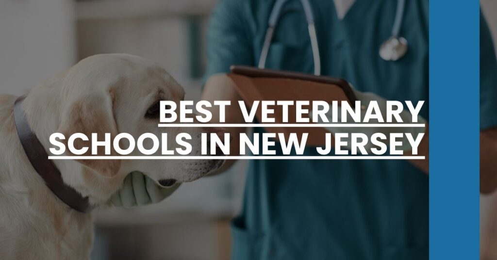 Best Veterinary Schools In New Jersey Feature Image