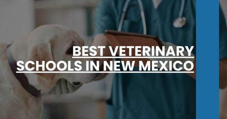 Best Veterinary Schools In New Mexico Feature Image