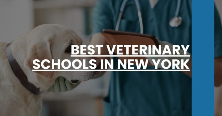 Best Veterinary Schools In New York Feature Image