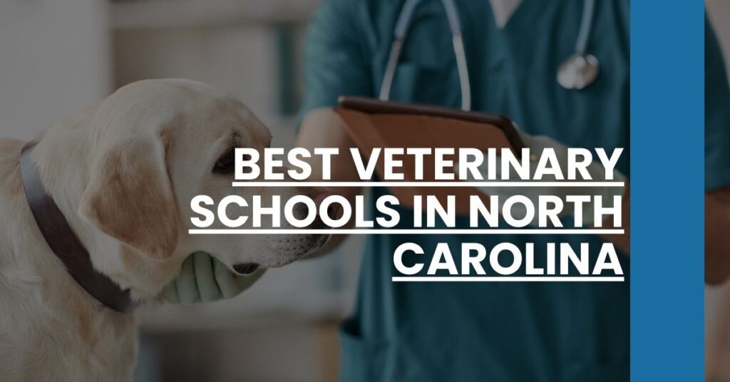 Best Veterinary Schools In North Carolina Feature Image