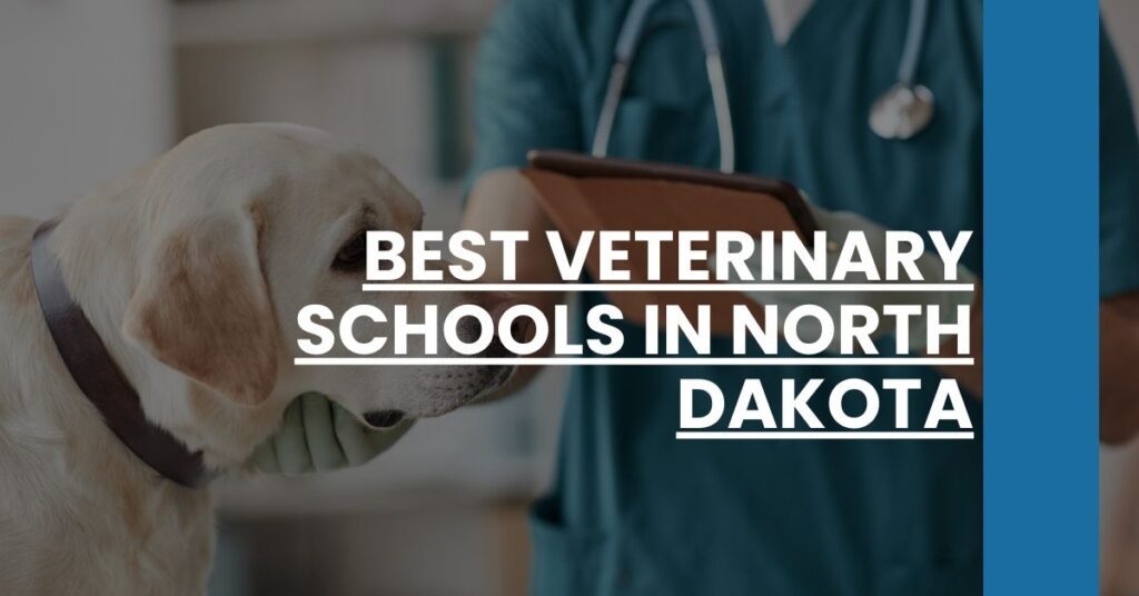 Best Veterinary Schools In North Dakota Feature Image