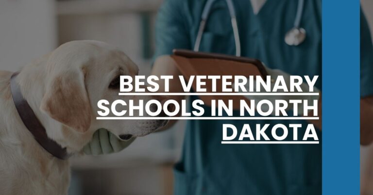 Best Veterinary Schools In North Dakota Feature Image