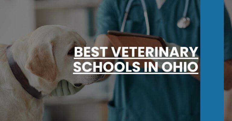 Best Veterinary Schools In Ohio Feature Image