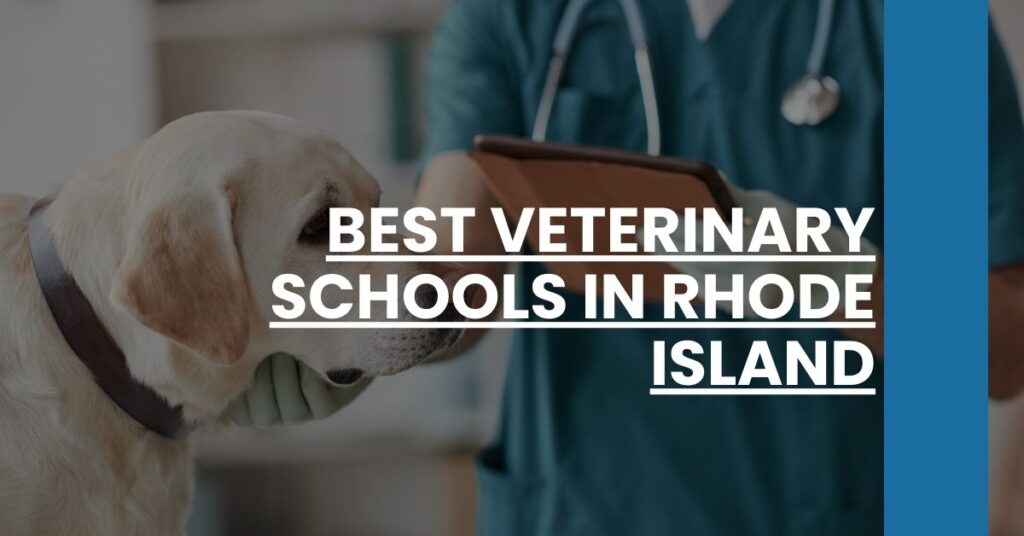 Best Veterinary Schools In Rhode Island Feature Image