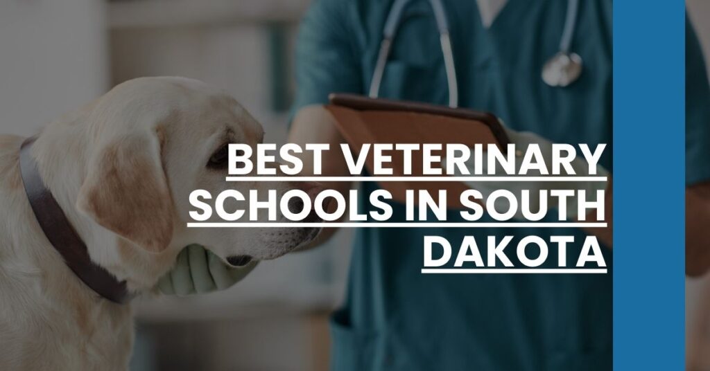 Best Veterinary Schools In South Dakota Feature Image