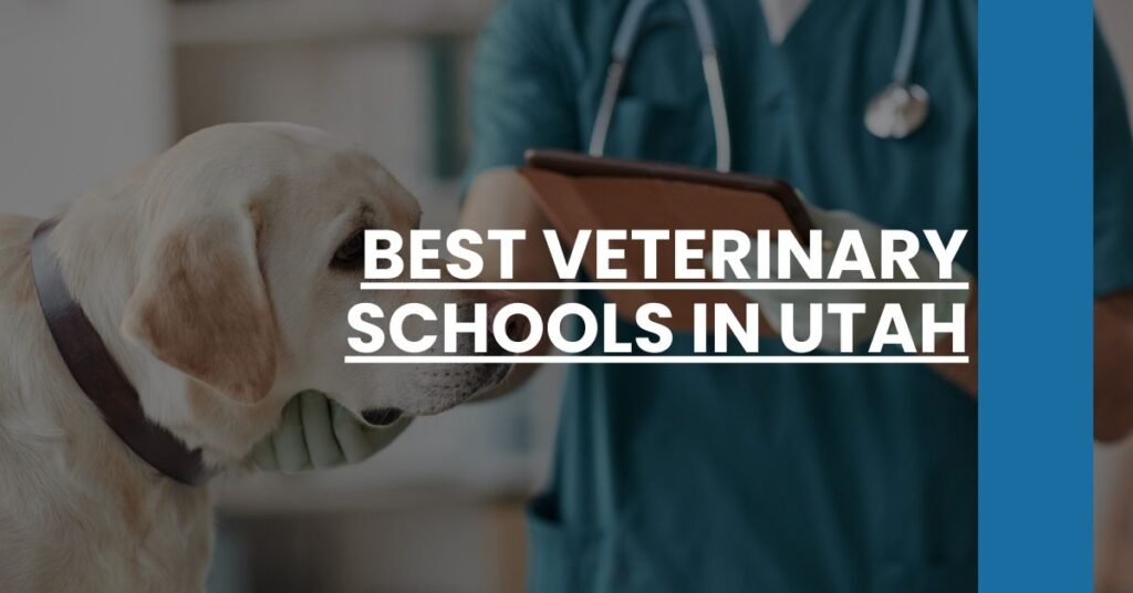 Best Veterinary Schools In Utah Feature Image