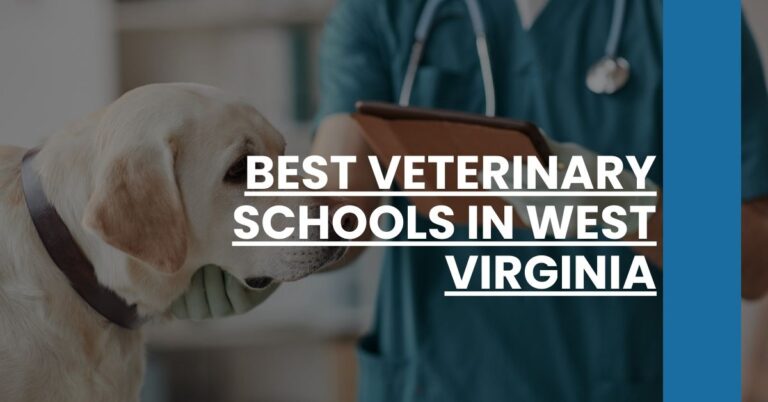 Best Veterinary Schools In West Virginia Feature Image