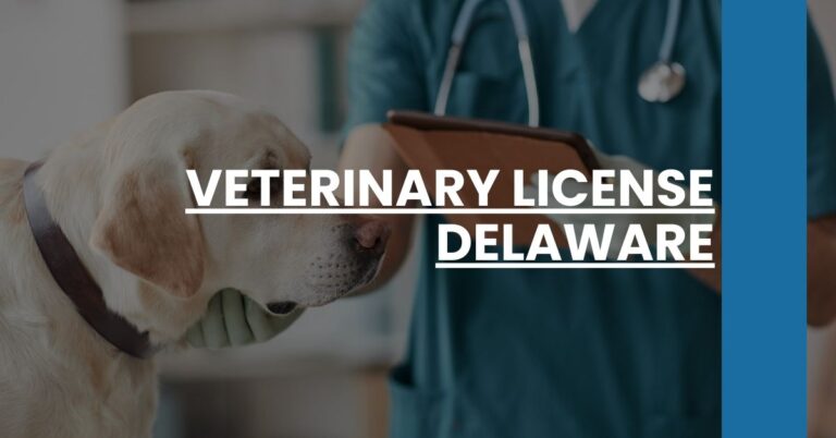 Veterinary License Delaware Feature Image