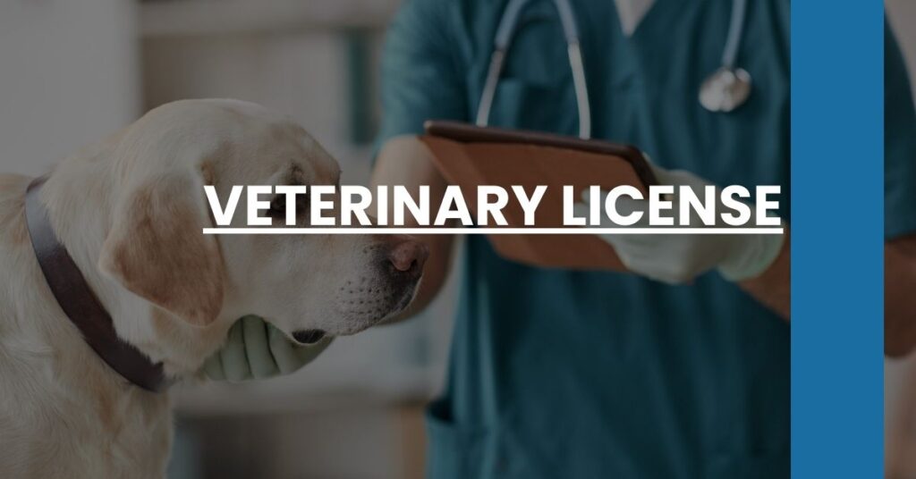 Veterinary License Feature Image