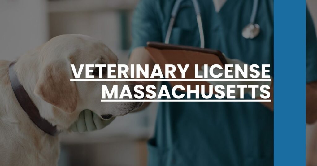 Veterinary License Massachusetts Feature Image