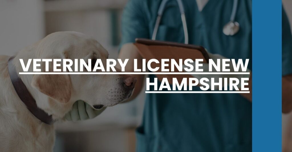 Veterinary License New Hampshire Feature Image