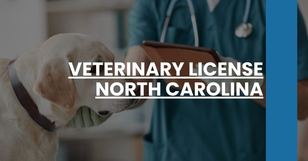 Veterinary License North Carolina Feature Image