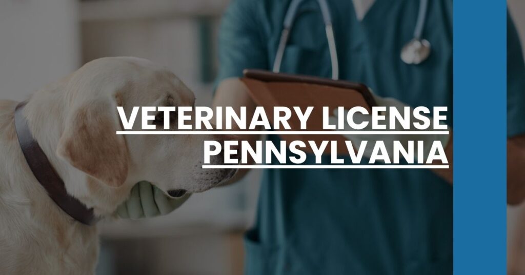 Veterinary License Pennsylvania Feature Image